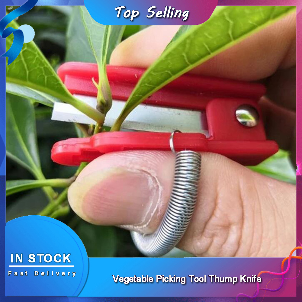 Harvest Knife Garden - Vegetable Picking Tool Thump Knife Separator