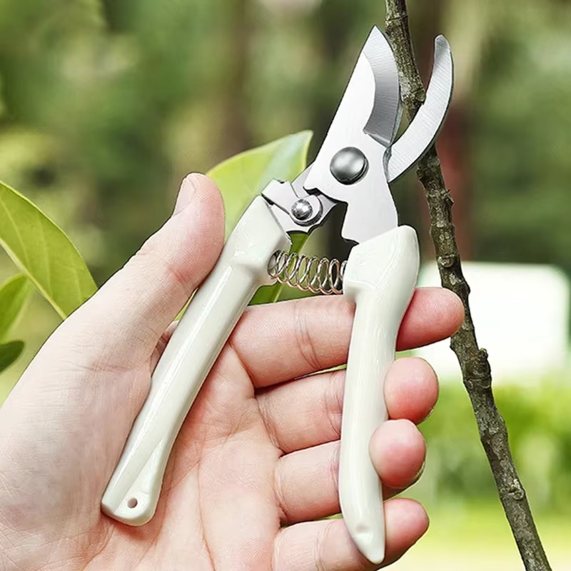 Stainless Steel Pruning Shears - Gardening Tools To Cut Branches recension och pris