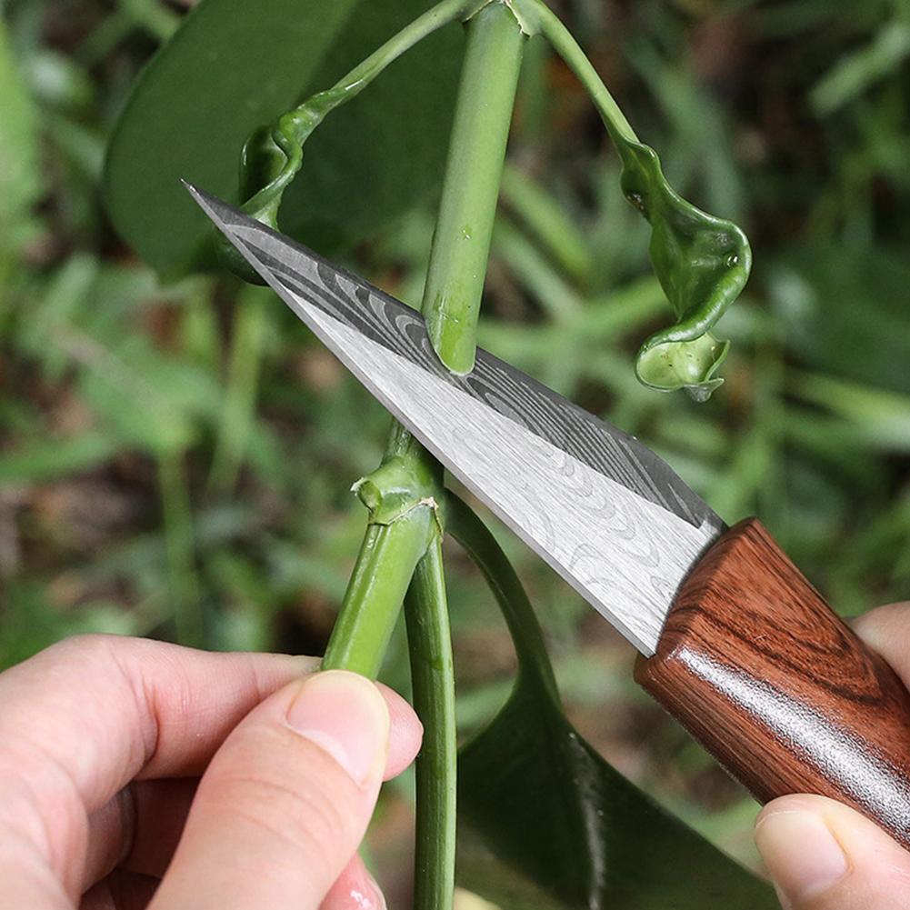 Grafting Knife Grafting Tools  - Harvest Knife Garden recension och pris