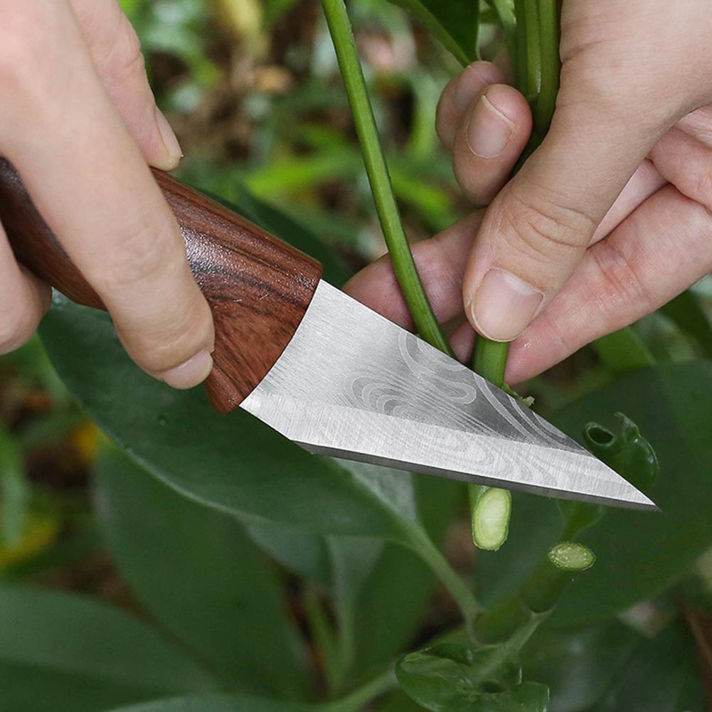 Grafting Knife Grafting Tools  - Harvest Knife Garden recension och pris