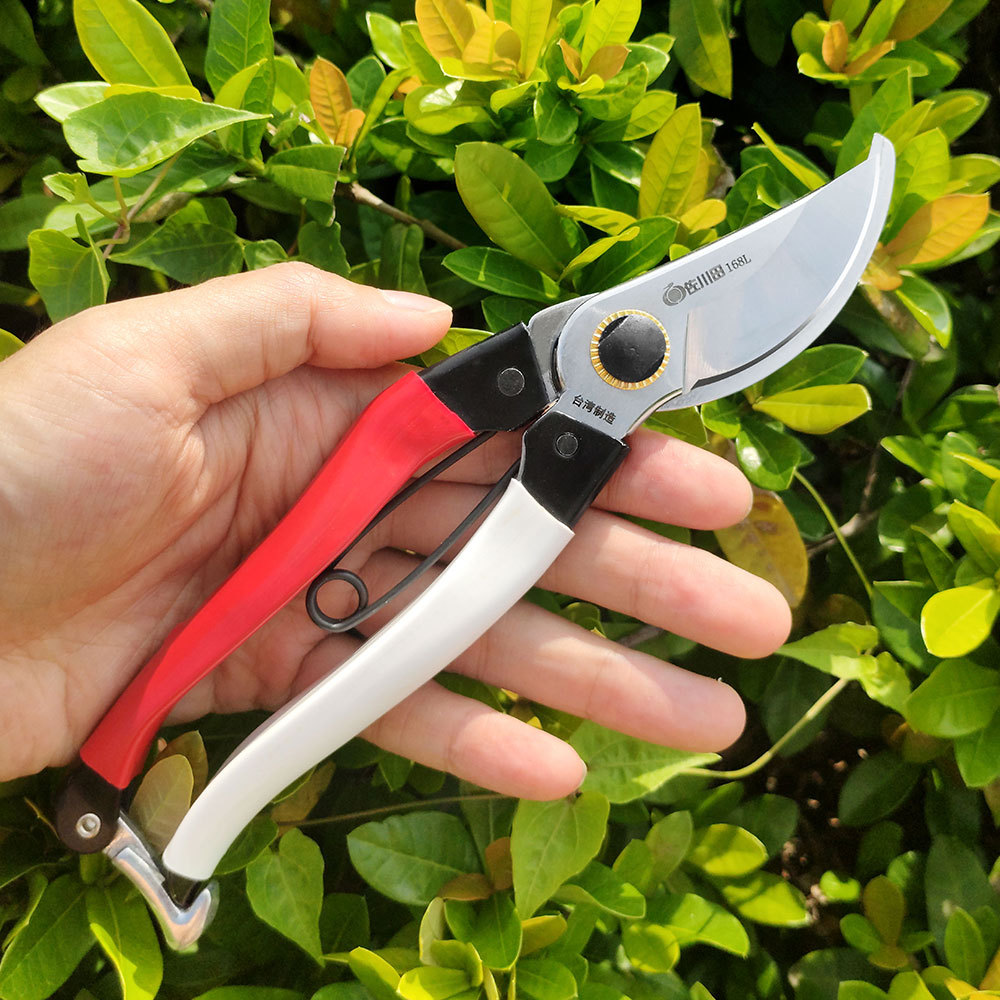 Taiwan Sakawada 168l Gardening - Gardening Tools Japan recension och pris