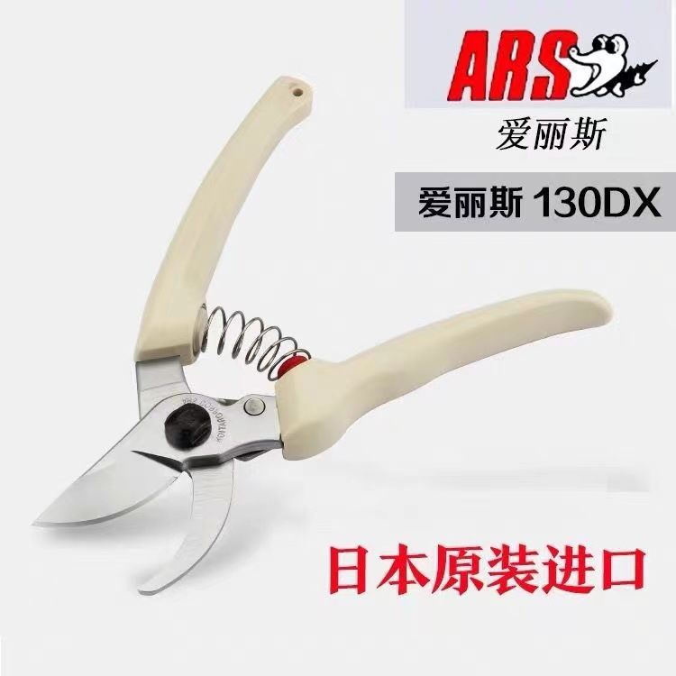 Pruning scissors, garden tools - Gardening Tools Japan recension och pris