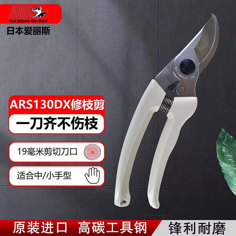 Pruning scissors, garden tools - Gardening Tools Japan recension och pris