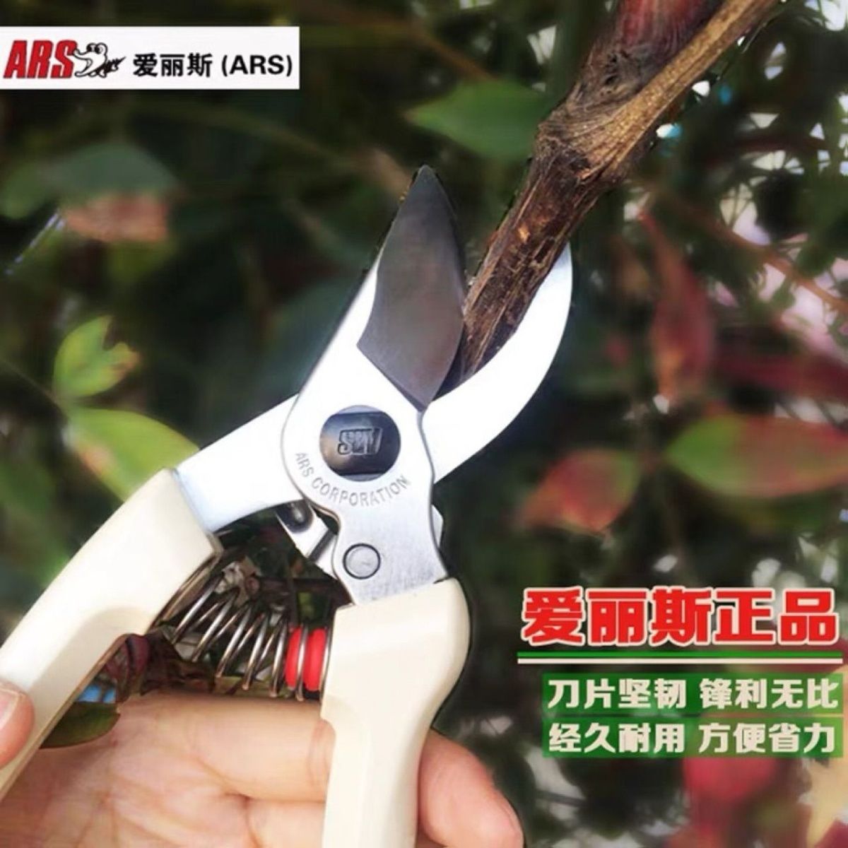 Pruning scissors, garden tools - Gardening Tools Japan recension och pris