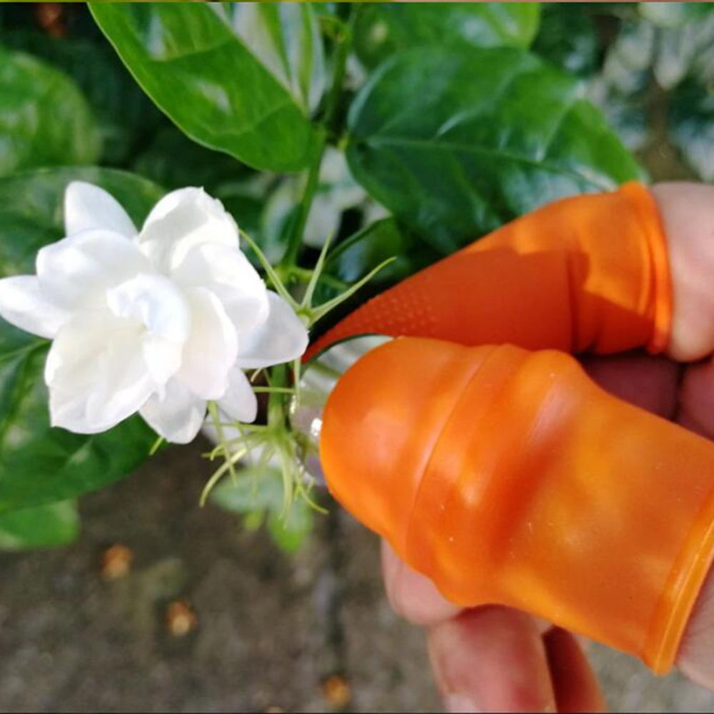Garden Silicone Thumb Knife Wi - Harvest Knife Garden recension och pris