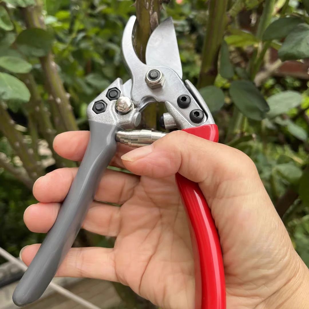 Japan Vvt New Sk5 Strong Garde - Gardening Tools Japan recension och pris