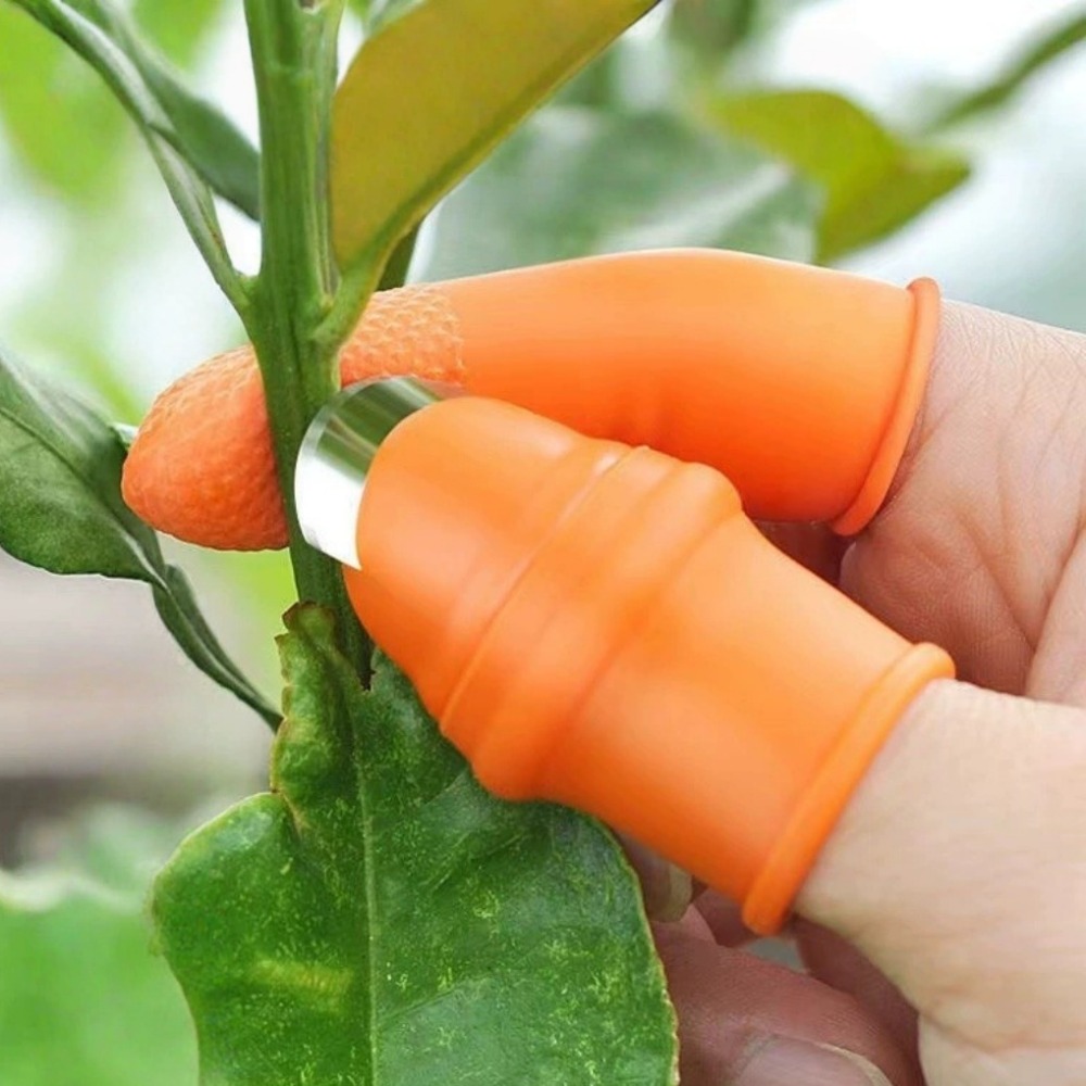 Vegetable Picking Stainless St - Harvest Knife Garden recension och pris