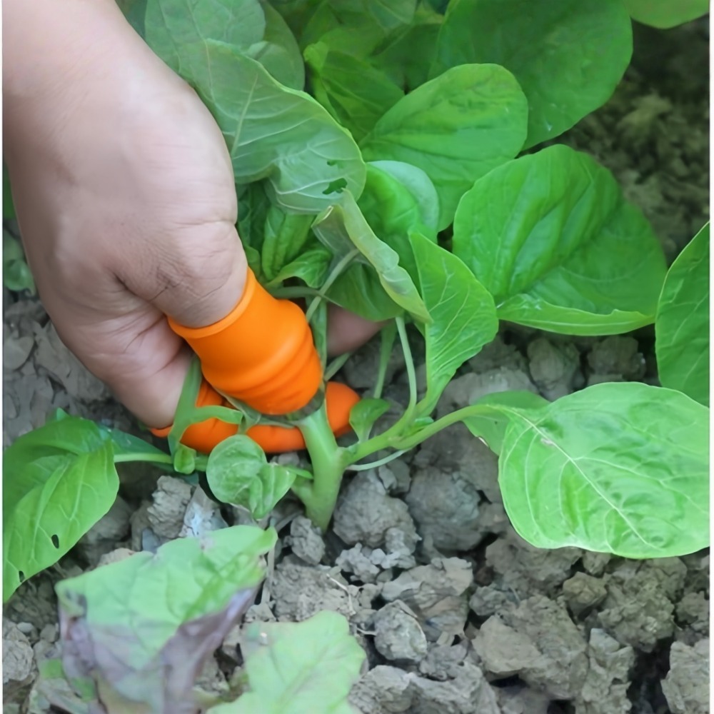 Vegetable Picking Stainless St - Harvest Knife Garden recension och pris